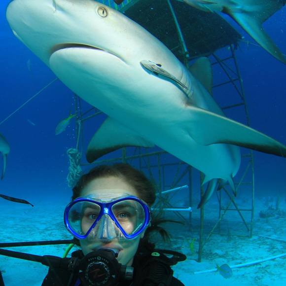 Meet your Posher, Kate - Picture 1 of 1